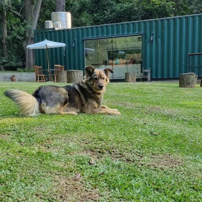 Casa Container Na Represa De Guarapiranga! Sonho! Villa Sao Paulo Bagian luar foto