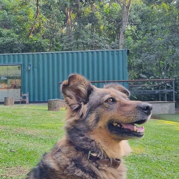 Casa Container Na Represa De Guarapiranga! Sonho! Villa Sao Paulo Bagian luar foto